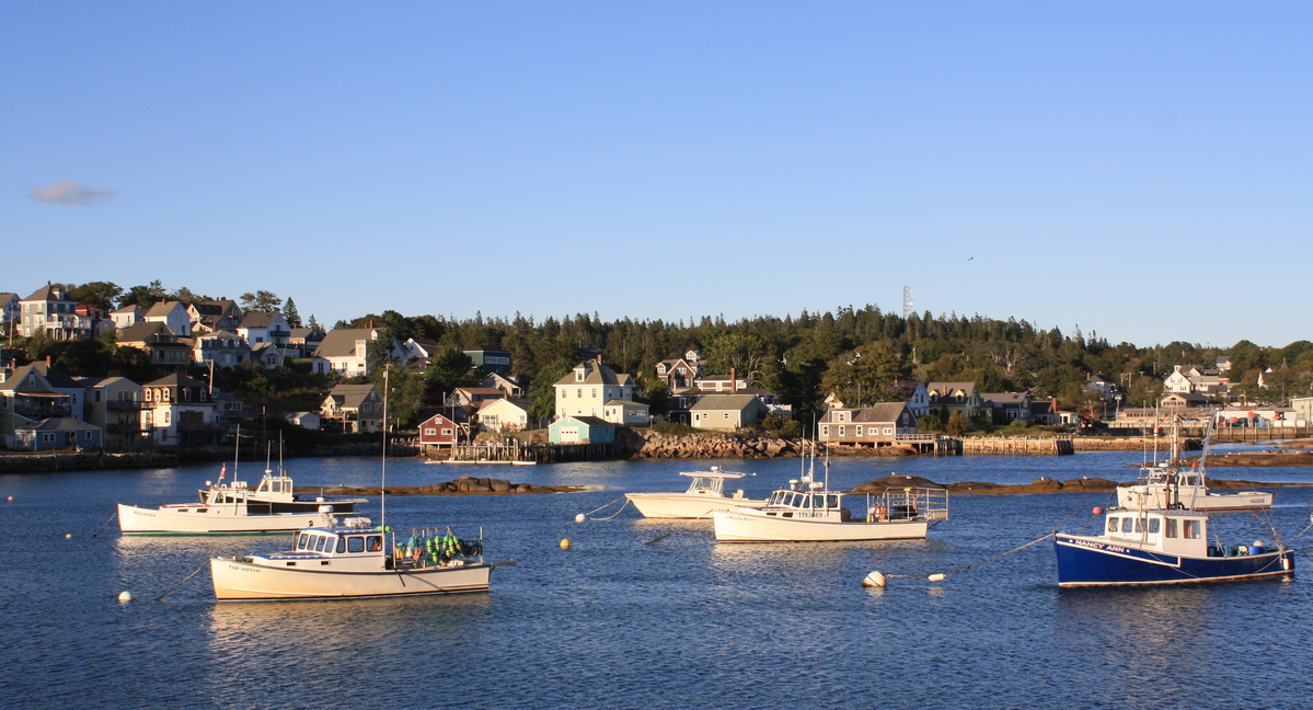 ‘The Onion’ pokes at Trump administration’s attempts to prosecute Maine
